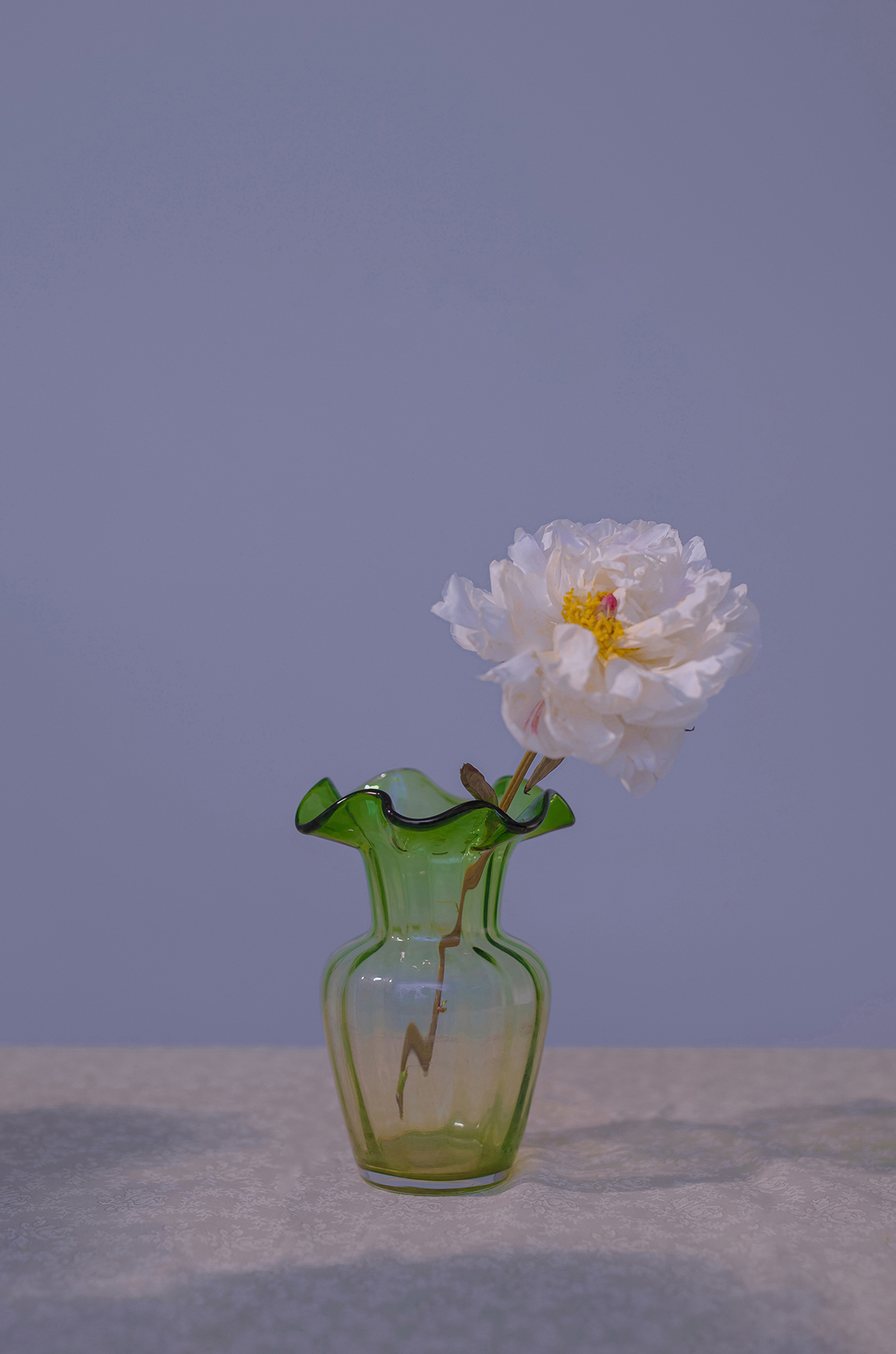 蜘蛛池在营销型网站SEO中的适配场景