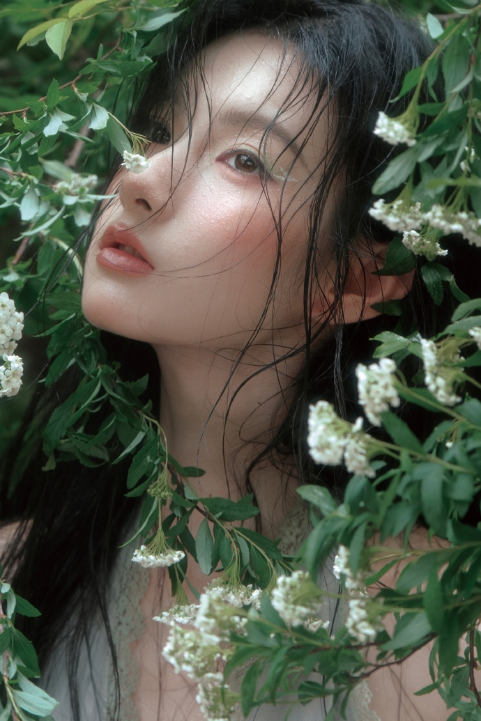 快速构建蜘蛛池的五个步骤